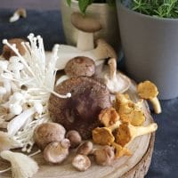 How To Make The Japanese Mushroom Oyster Hot Pot At Home 1