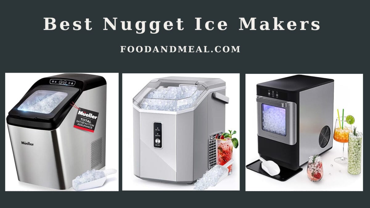 Best Nugget Ice Makers
