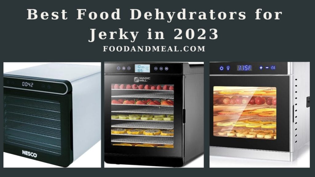 Best Food Dehydrators For Jerky In 2023