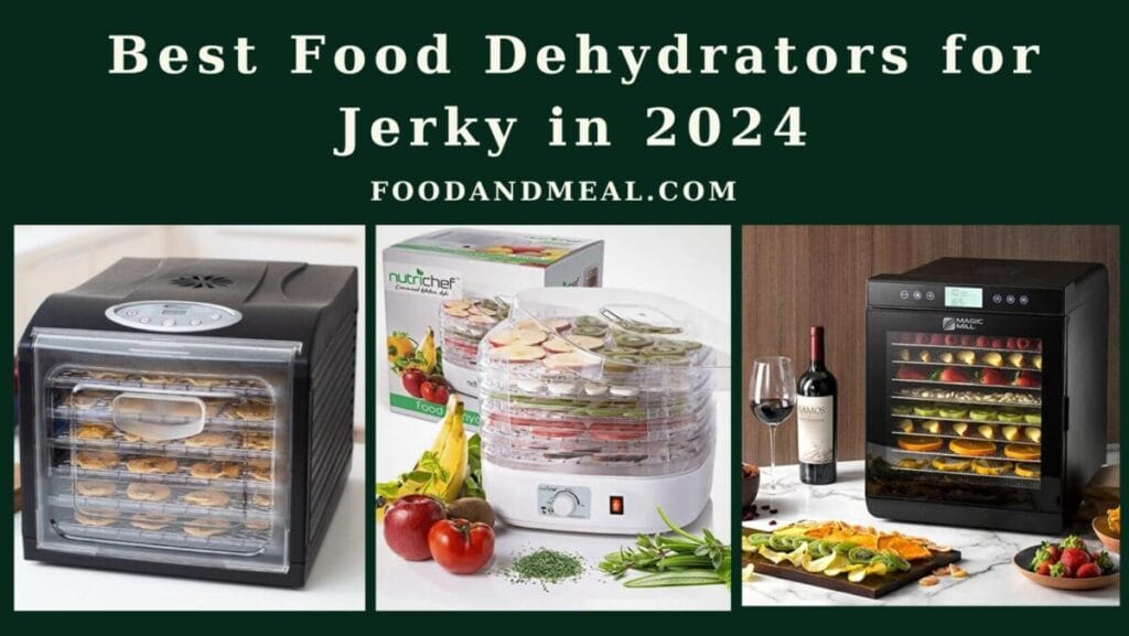 Best Food Dehydrators for Jerky in 2024