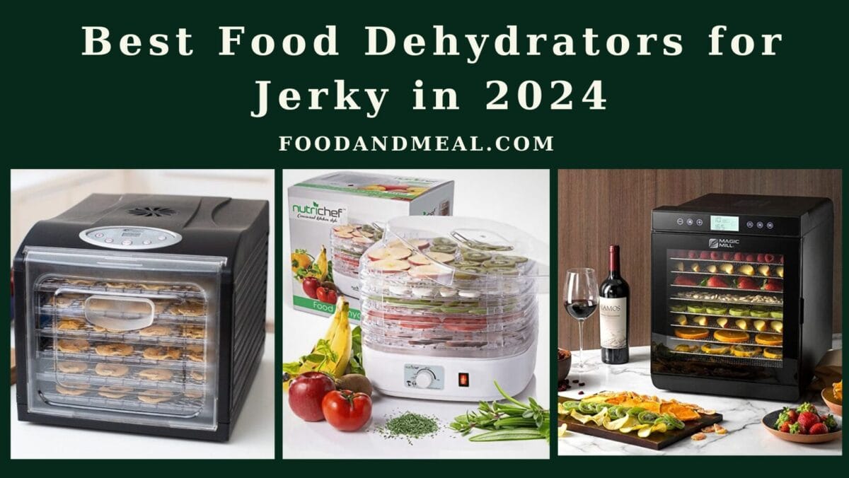 Best Food Dehydrators For Jerky In 2024