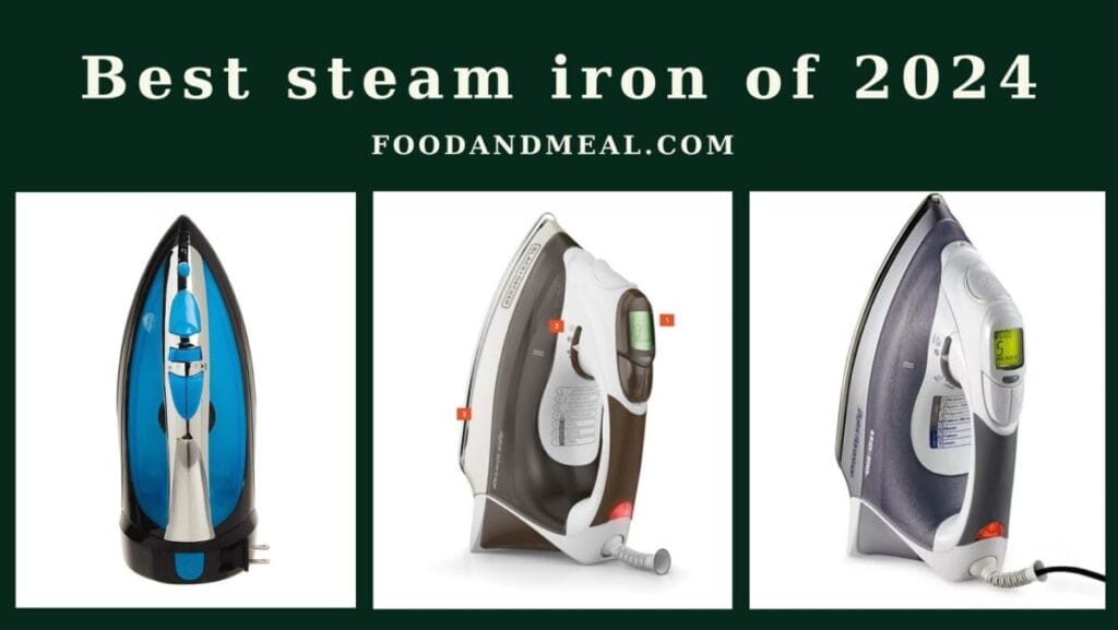 best steam iron of 2024