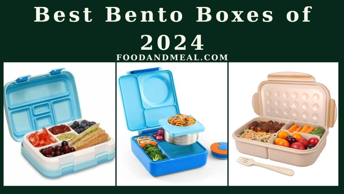 Best Bento Boxes Of 2024