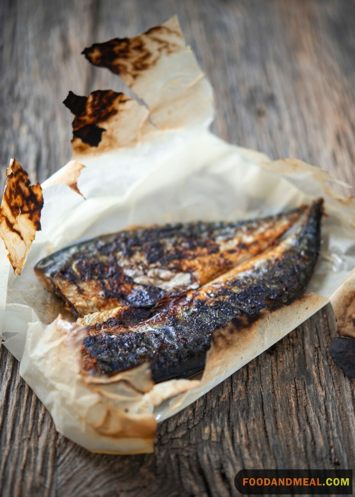 Broiled Mackerel 