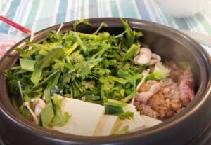 Authentic Tofu Beef Hot Pot Recipe: A Japanese Delight 4