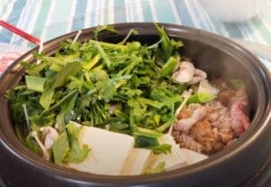 Authentic Tofu Beef Hot Pot Recipe: A Japanese Delight 6