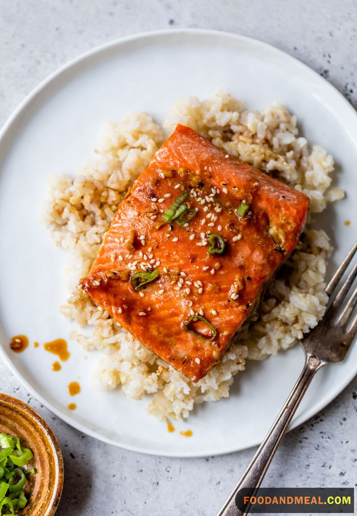 Beef And Salmon Teppanyaki 