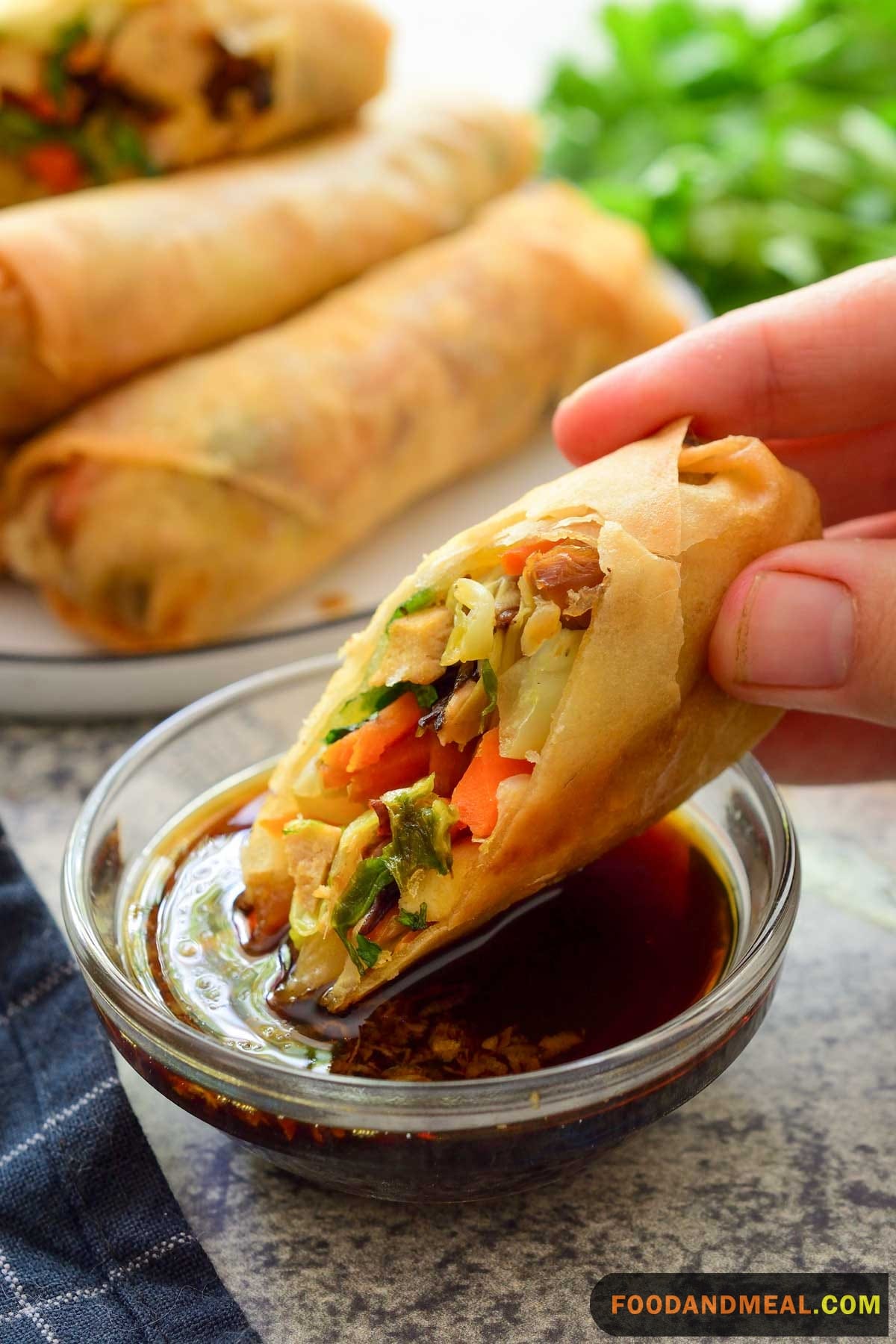 Veggie Style Spring Roll