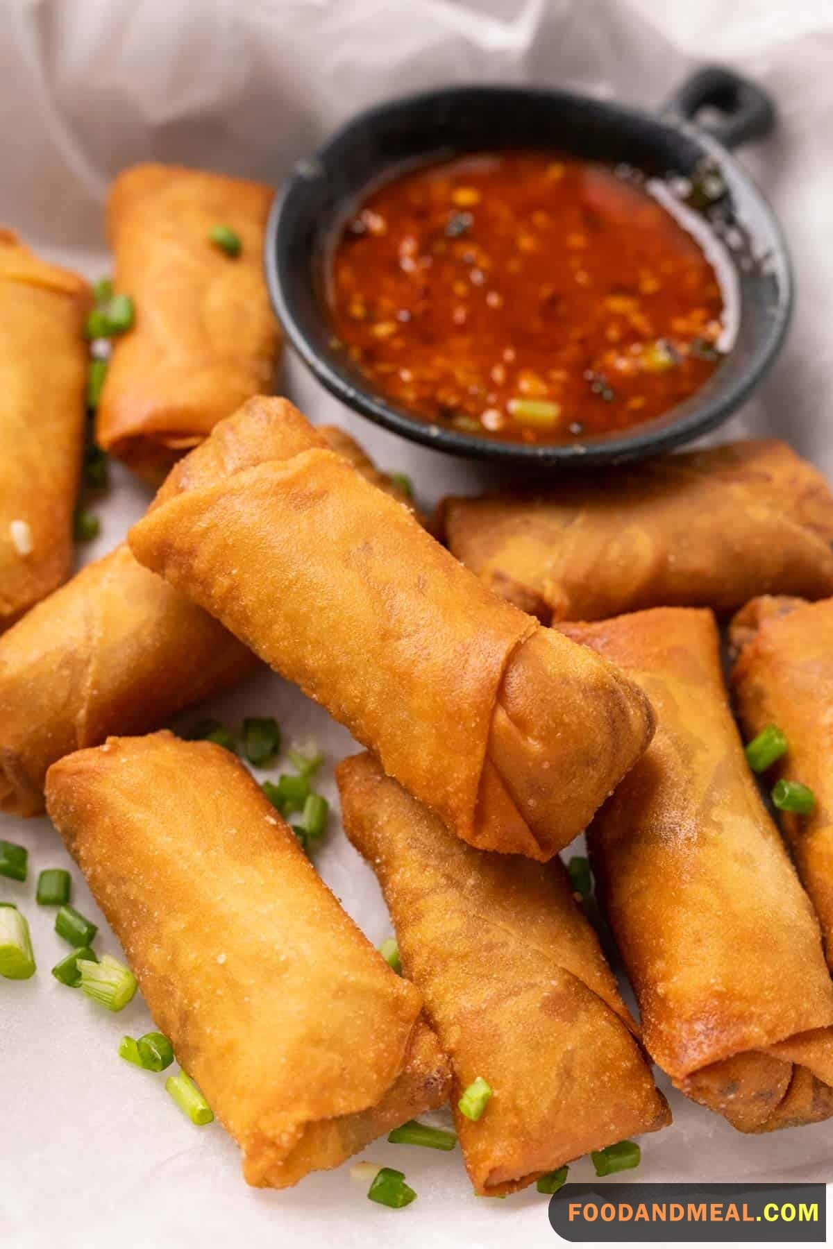 Veggie Style Spring Roll