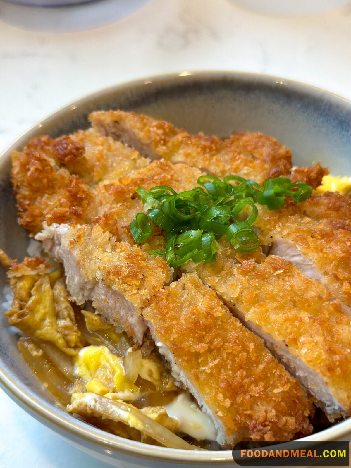  Katsudon.