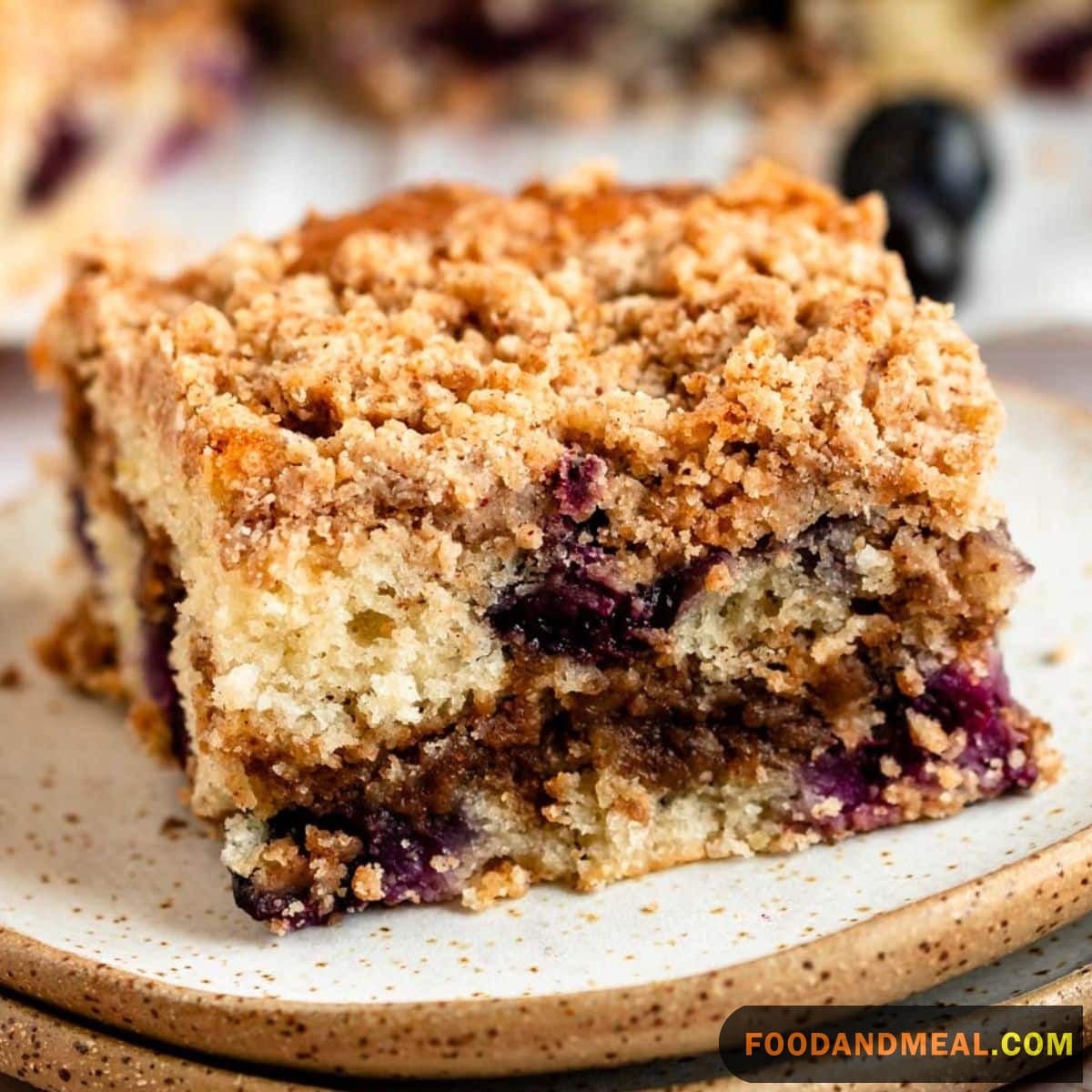 Blueberry Sour Cream Coffee Cake 