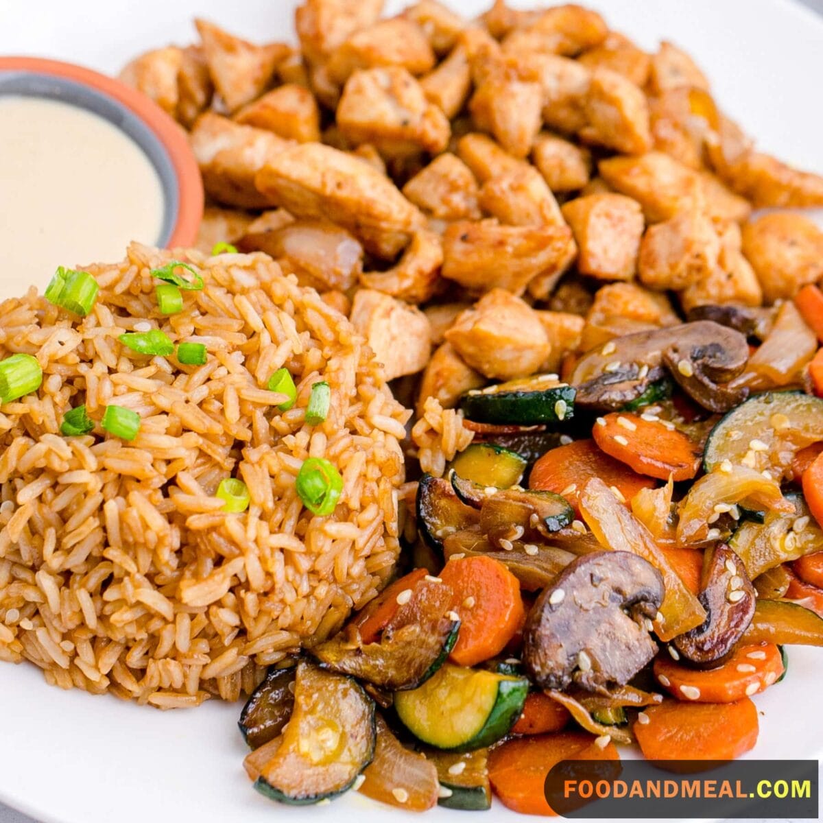 Hibachi Chicken and Fried Rice.