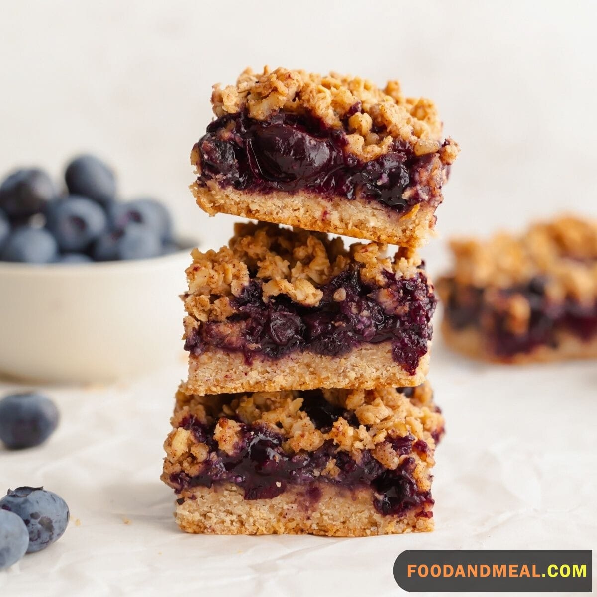 Blueberry Crumb Bars 