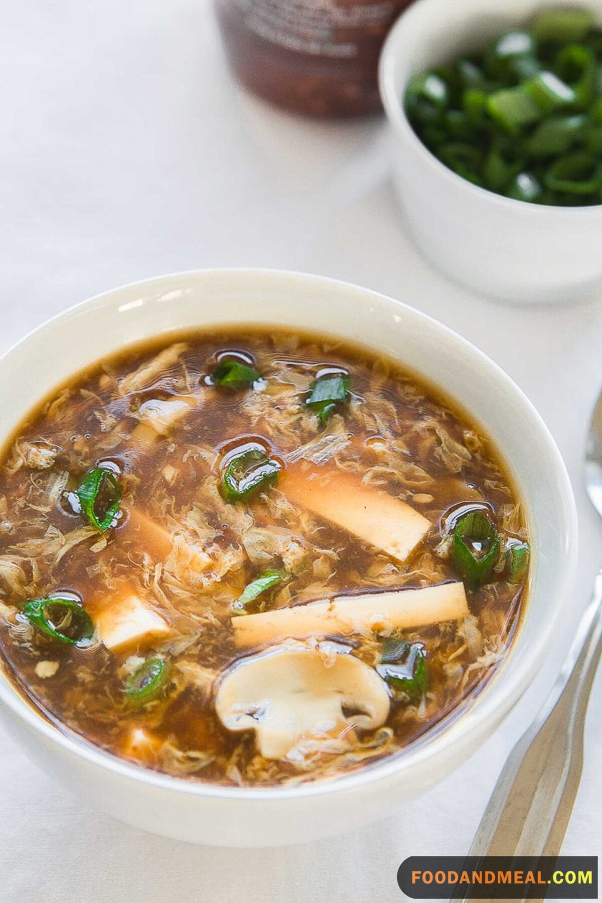 Classic Sour And Hot Soup