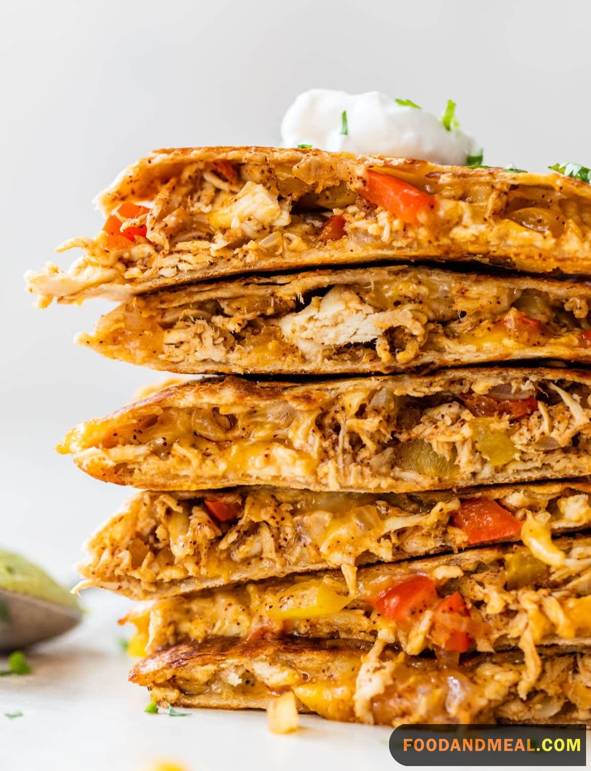 Chicken Quesadilla