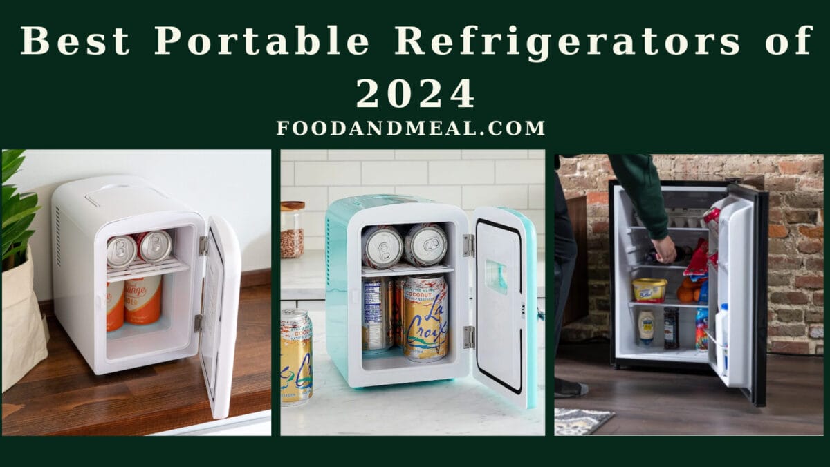 The 5 Best Portable Refrigerators of 2025, Tests and Reviews 1 Best Portable Refrigerators of 2024