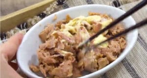Delicious Japanese Rice Balls Recipe - Onigiri 16