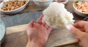 Delicious Japanese Rice Balls Recipe - Onigiri 14