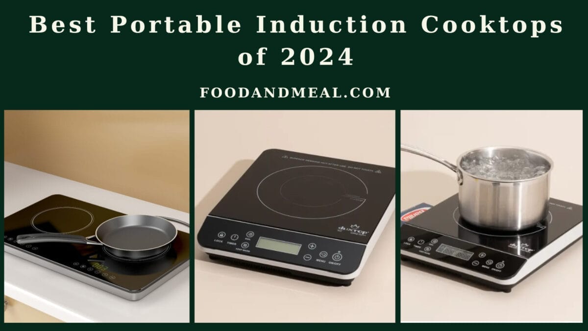 Best Portable Induction Cooktops Of 2024