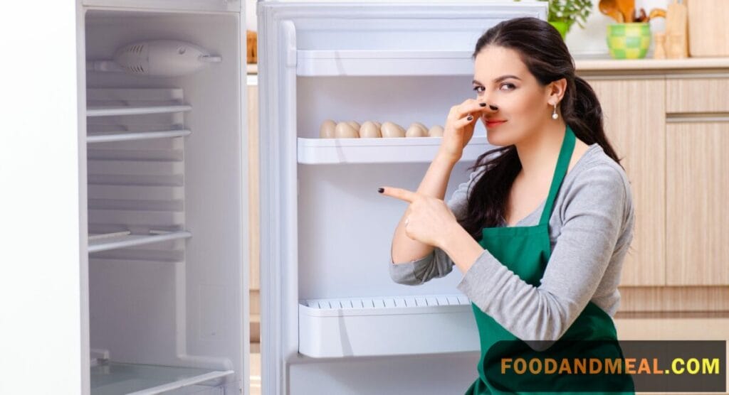 How To Deodorize A Fridge 2