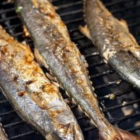 Barbecue Mackerel Perfection On The Indoor Grill: A Culinary Guide To Flawless Fish 1