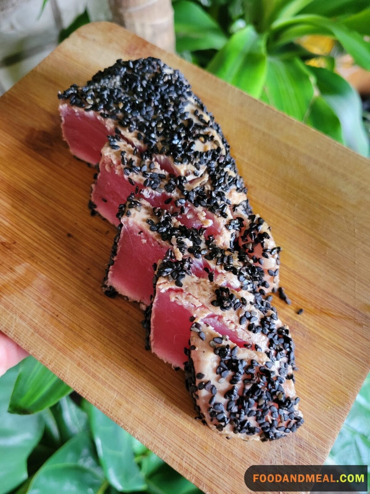 Tuna Steak