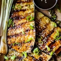 Indoor Grilled Eggplant Ala Teriyaki: A Flavorful Delight Cooked To Perfection 1