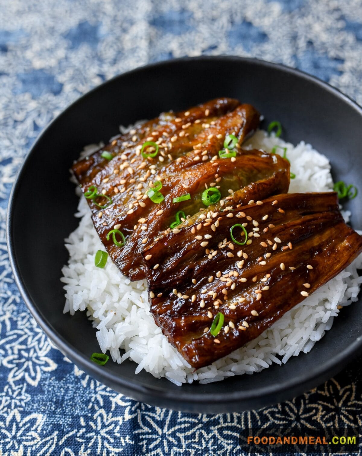 Eggplant And Teriyaki 