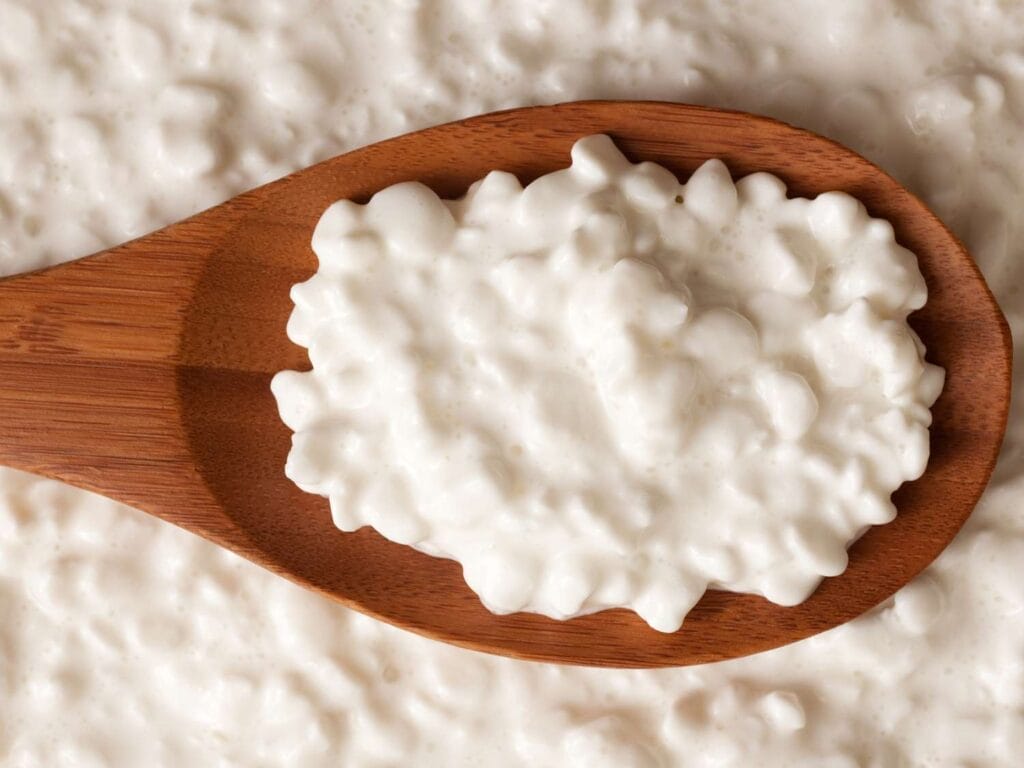 How To Make Fresh Cottage Cheese At Home Using Milk Cream Separator (Diy Step By Step Guide) 1