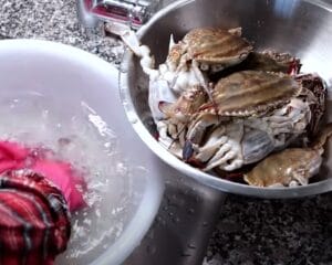 Dive Deep Into The Spicy Raw Blue Crabs Korean Recipe Journey! 3